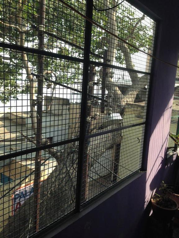 Paradise Inn Guest House Benares Kamer foto