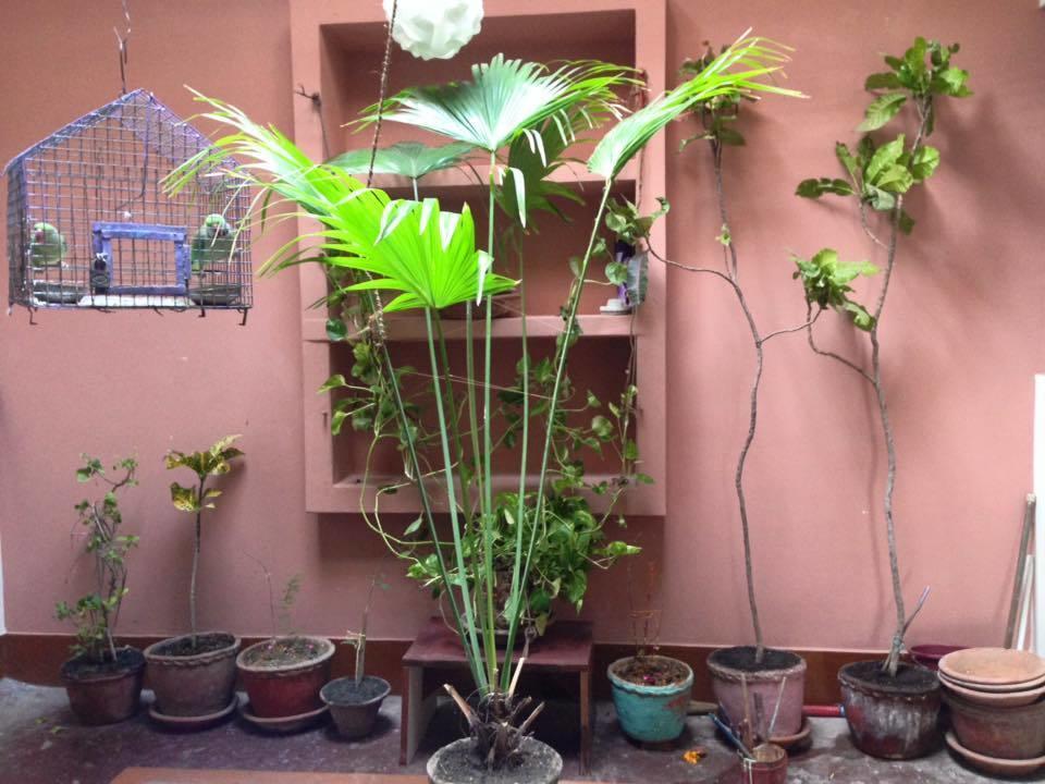 Paradise Inn Guest House Benares Buitenkant foto